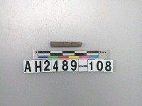 藏品(磨製石針)的圖片